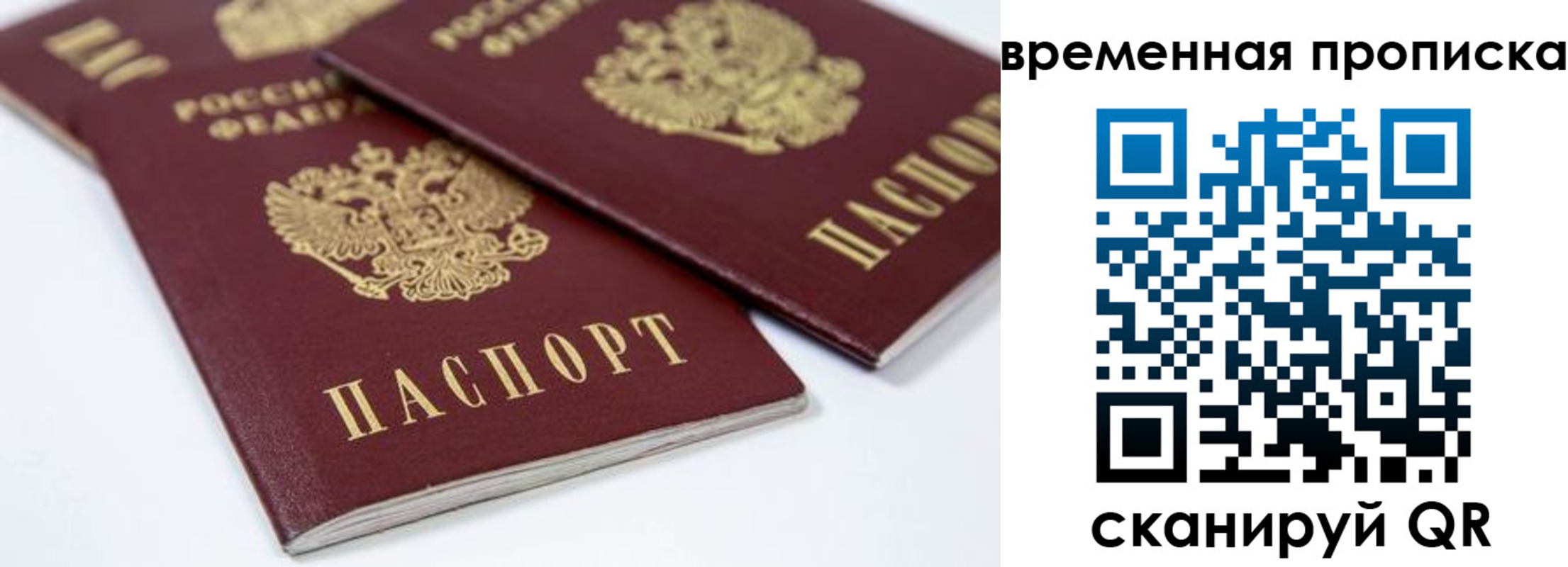 прописка для школы в Камышлове